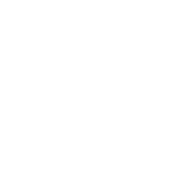 SHINING PET