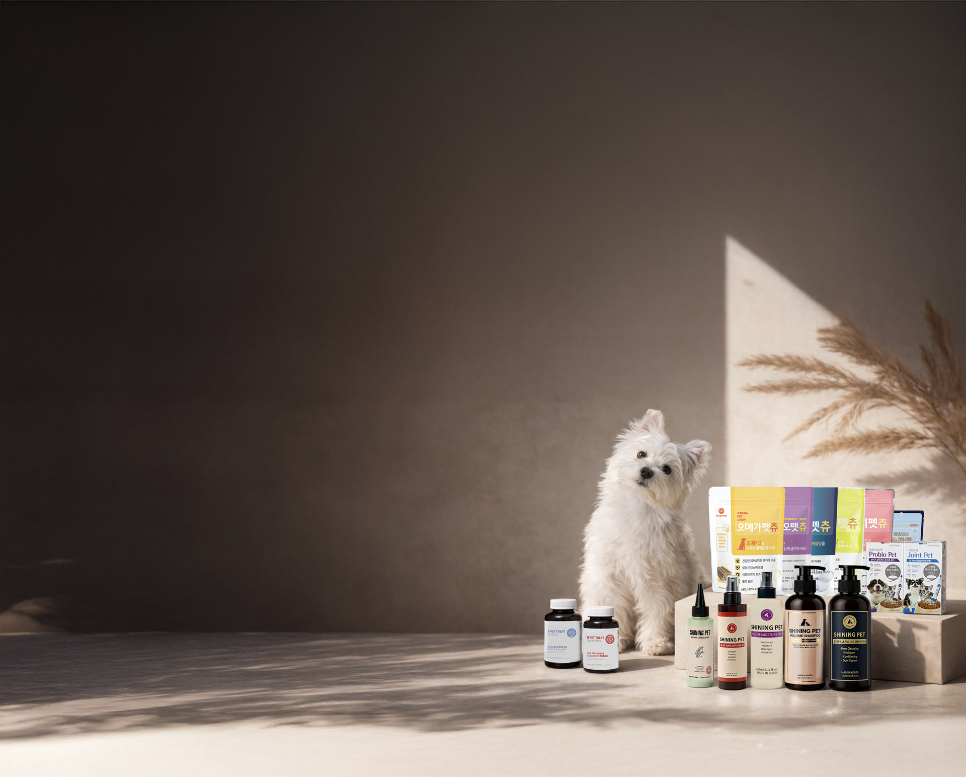 Shining Pet brand visual